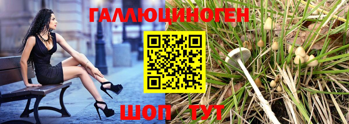 Галлюциногенные грибы Magic Shrooms  Вход с VPN  Асино 