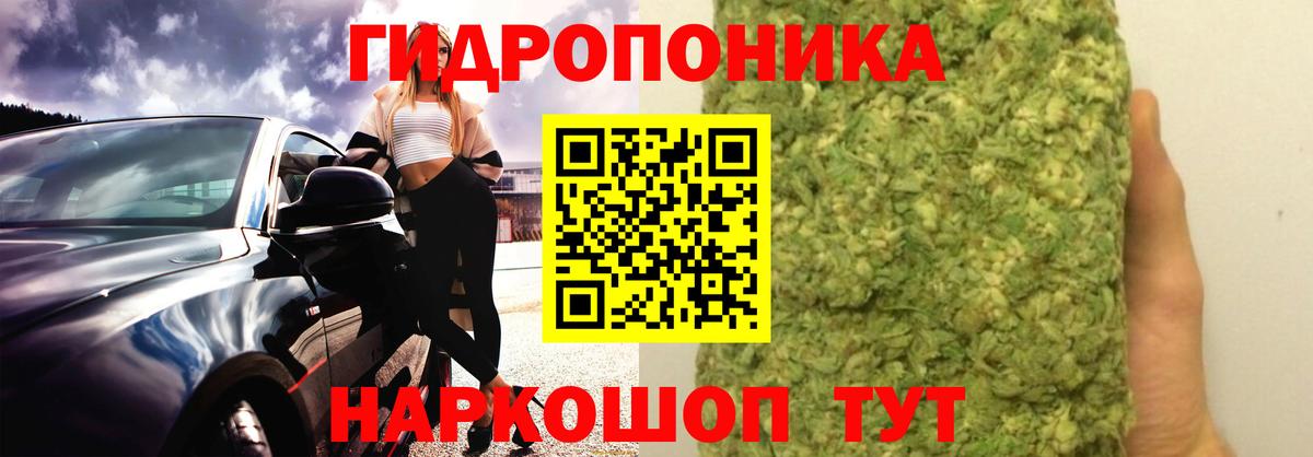 Бошки марихуана SATIVA & INDICA Асино